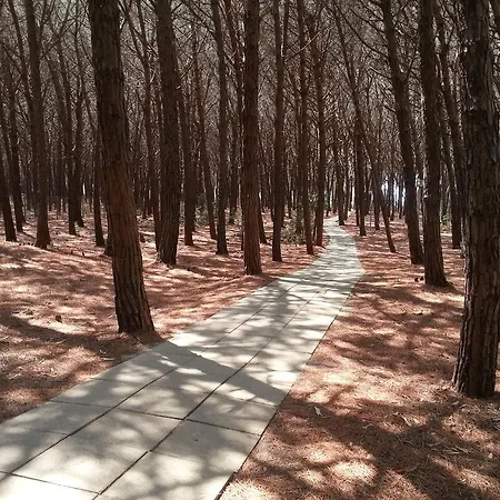 빌라 Le Di Porto Ada